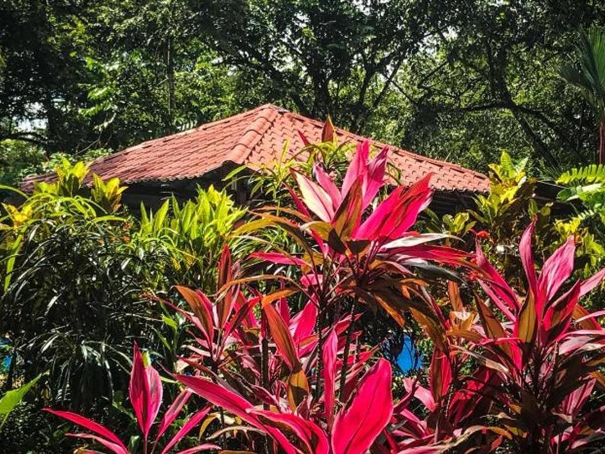 Casa Colores Montezuma Εξωτερικό φωτογραφία